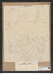 Triceratium schmidtii var. pustulatum (de-Toni-Nr.: Genus 139, Species 3705*) Zeichnungen Sammlung Grunow Nr. 7182 (NHMW-BOT-W0376163)